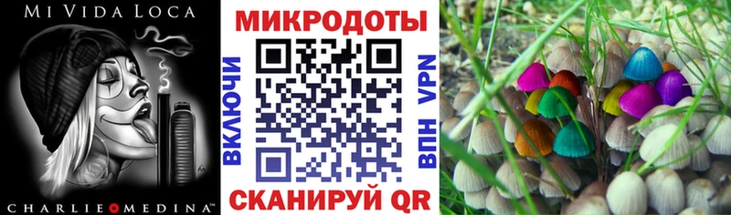 Псилоцибиновые грибы Cubensis  Скопин 